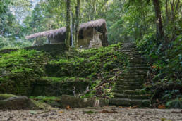 Mayan pyramids of Palenque